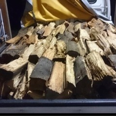 キャンプ、薪ストーブ用の10〜25センチ ミックス薪