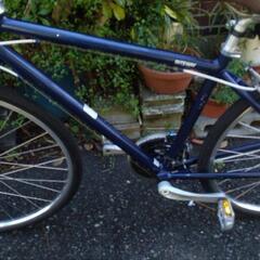 RAITEWAY(シェファードシティ)