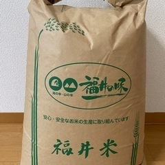 ② 新米コシヒカリ 30kg 令和4年　福井県産