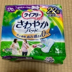 介護用品　尿取りパット 22枚✖️4袋