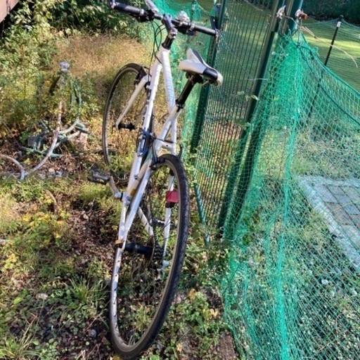 その他 Bianchi ROMA2