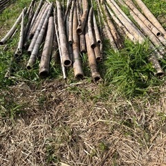 農業やDIYや趣味等に、硬い竹を。伐採して乾燥後の竹をお譲りいた...