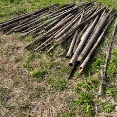 畑やガーデニングの防草等、柔らかい竹チップに。伐採後に自然発酵状...
