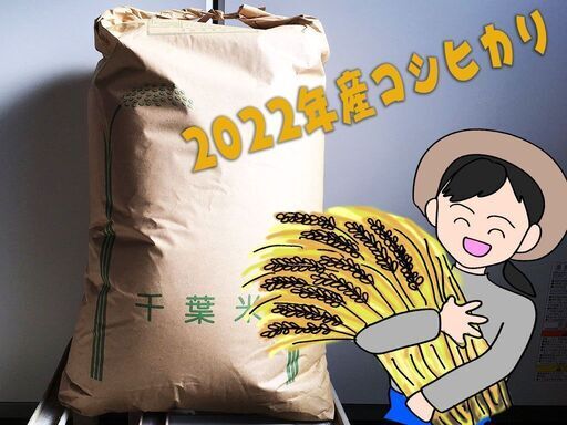 市原市のお米「コシヒカリ」30Kgとオマケで「つくね芋」1kg