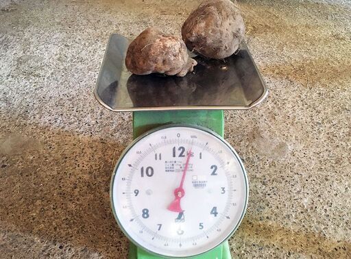 市原市のお米「コシヒカリ」30Kgとオマケで「つくね芋」1kg