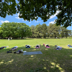 11/12 （土）11時〜公園ヨガでリフレッシュ🌿🧘‍♀️