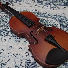 （折衝中）バイオリン