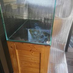 アクアデザイン　75cm規格水槽