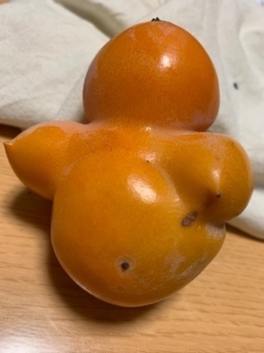 おっぱい柿様 神棚