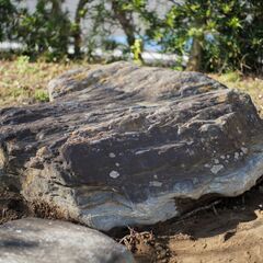 庭石　長辺約140cm　引き取り限定　千葉県九十九里　岩