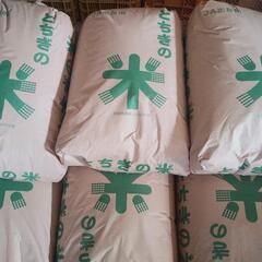 【ネット決済】◇(新米) コシヒカリ 玄米 30kg (農家直送品)