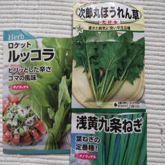 野菜種　〜ほうれん草、九条葱、ルッコラ