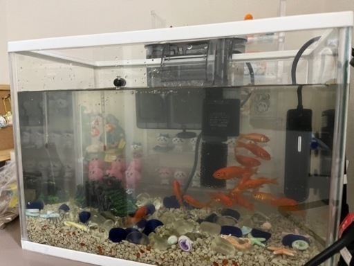 水槽セット