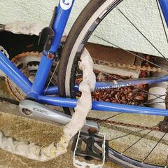 ロードバイク GIOS -UNION × Bephies Beauty Supply × Nike