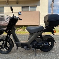 スズキ　モレ(全塗装)