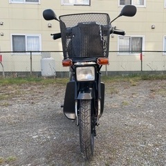 スズキ　モレ(全塗装)