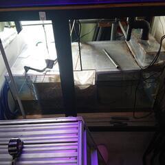 取引先決定しました    1800,900,600アクリル水槽セット