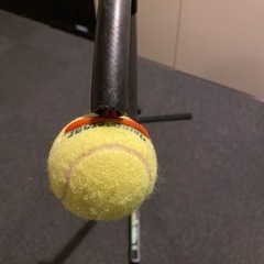 Tennis Guide Ⅱ テニスガイド2 素振り練習機(室内使用美品)