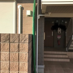 ロングボード　9‘0    （ケース、フィン付き）