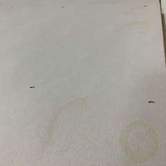 ニトリ収納付きベッドフレームとマットレス