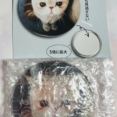 人気 猫 マッシュ 毛穴 拡大 ミラー