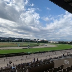 東京競馬場に行こう！