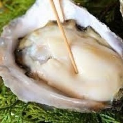 🔥11/18(金)🔥牡蠣を死ぬほど食べませんか？🦪🌊