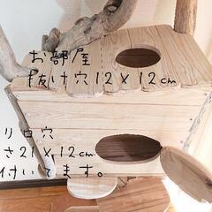 流木キャットタワー『森の古民家』