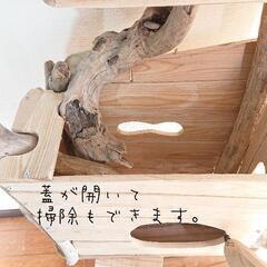 流木キャットタワー『森の古民家』