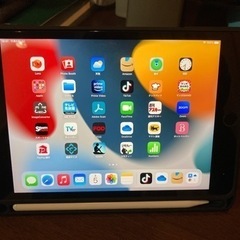 iPad mini 第5世代　Wi-Fiモデル　綺麗です。