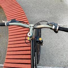 マウンテンバイク MONGOOSE マングース CHRIS KING ダウンヒル