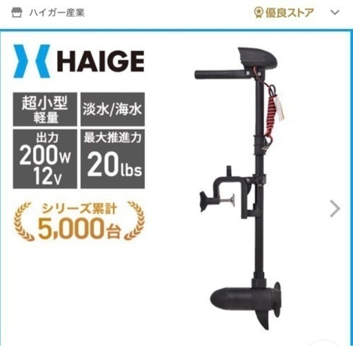 ハイガーのエレキ200w 12V