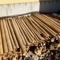 乾燥した竹、大量