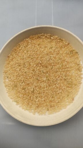 新米令和4年産つや姫玄米30Kg 食味値82点 | skvp.co.uk