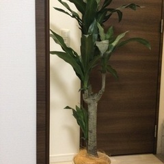 【お取引き確定】★ フェイクグリーン 観葉植物 135cm