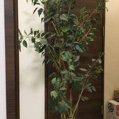 ★ フェイクグリーン 観葉植物 150cm