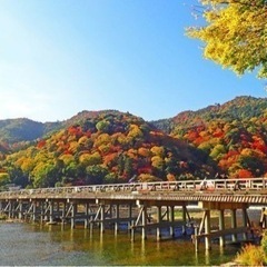 京都サイクリング