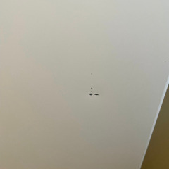 ヤマダセレクト2ドア　156ℓ 冷蔵庫