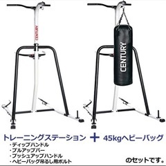 【値下げ】サンドバッグ（Century Martial Arts）