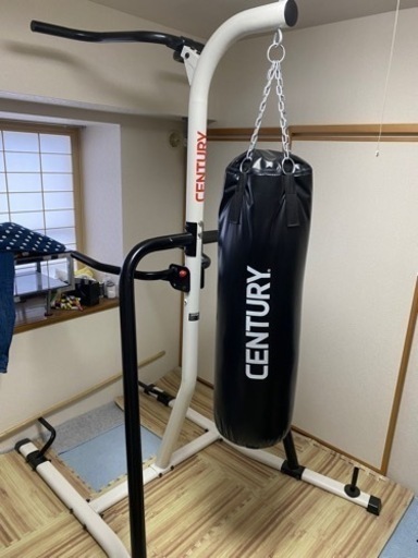 値下げ】サンドバッグ（Century Martial Arts） | alfasaac.com