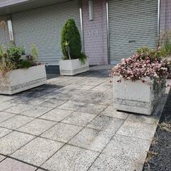 【無料】花壇4個　重量物　引き取り限定　松戸市
