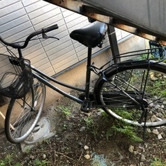 自転車 無料