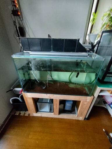 ☆仙台引き渡し☆90cm水槽セット☆生体別