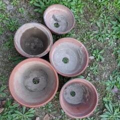 植木鉢　陶器です　おゆずりします