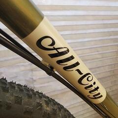 ALL-CITY Super Professional　完成車　49サイズ