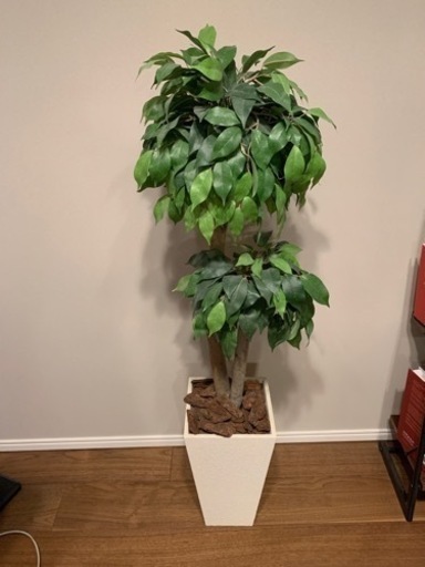 《11月中お引取限定》人工観葉植物