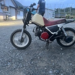 ポケバイ pw50 ミニバイク