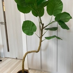 観葉植物　フェイクグリーン