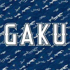 草野球 日曜活動 新メンバー募集 〈練馬、中野、都内遠征〉