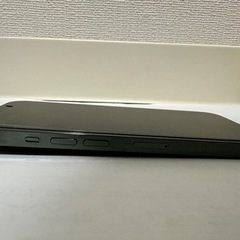 iPhone 13 Pro 512GB アルパイングリーン
